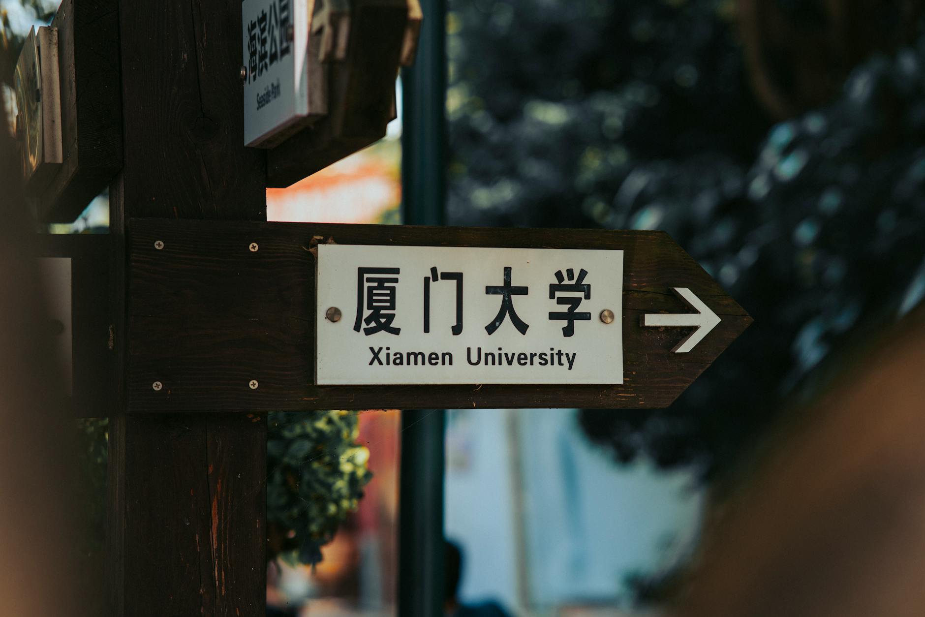TNE explained for 2026: earning an Australian degree without leaving home